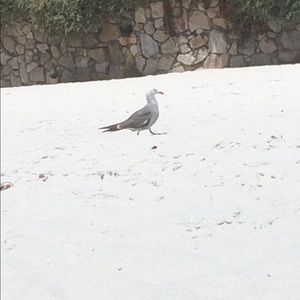 Meet your Posher, Luz